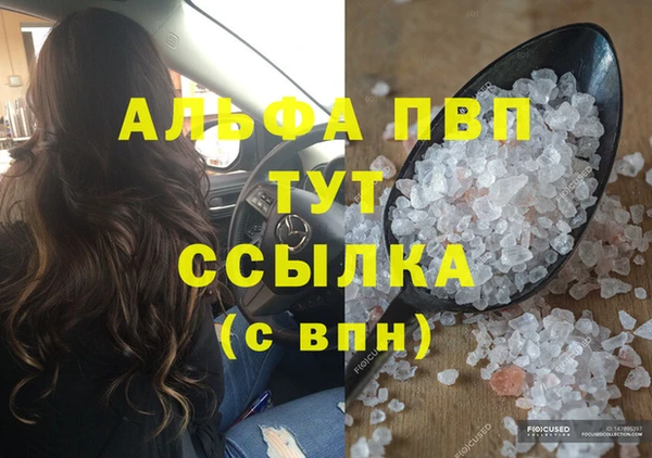шишки Абаза
