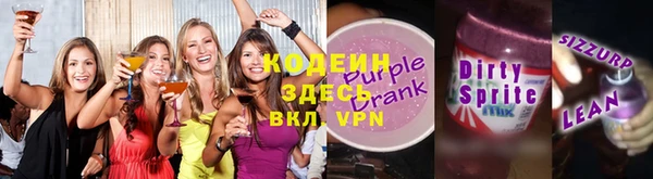 шишки Абаза