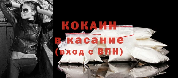шишки Абаза