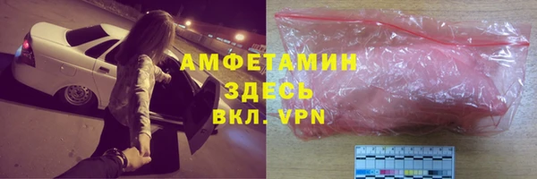 шишки Абаза
