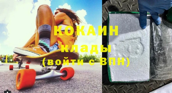 шишки Абаза