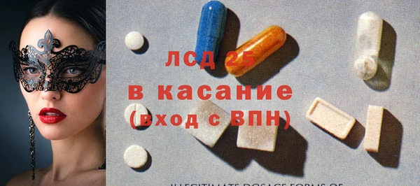 шишки Абаза