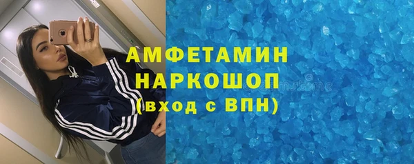 шишки Абаза