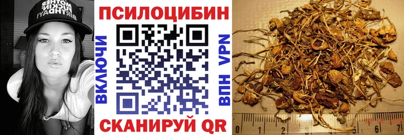 Псилоцибиновые грибы прущие грибы  где продают наркотики  Красновишерск 